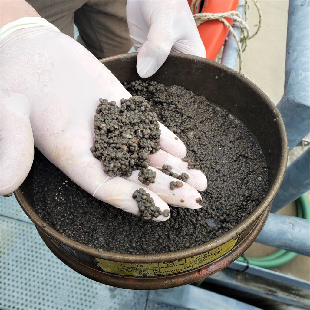 Photo showing the granules formed by the AquaNereda Granular Activated Sludge process.